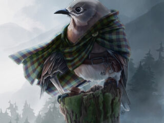 Little Bravebird